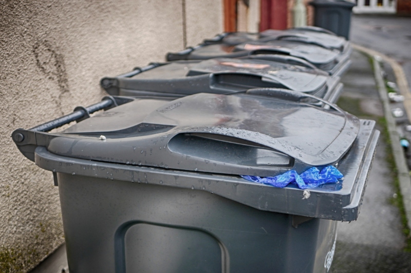 Council announces largest change to bin collections in 10 years image