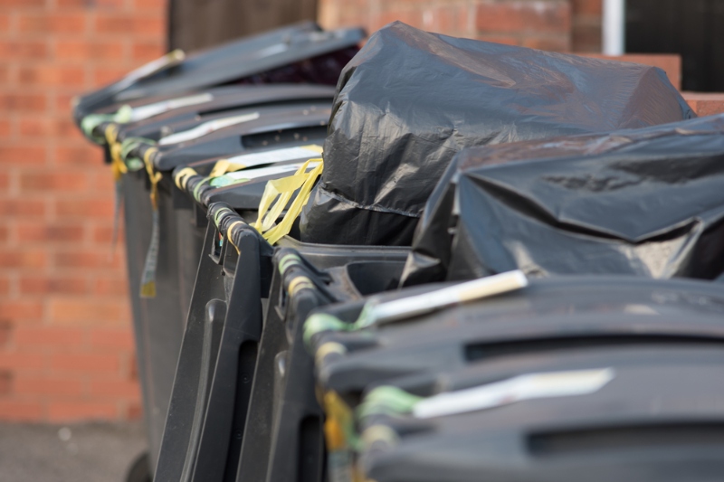 Bin strike hitting 220,000 homes begins in Wiltshire  image