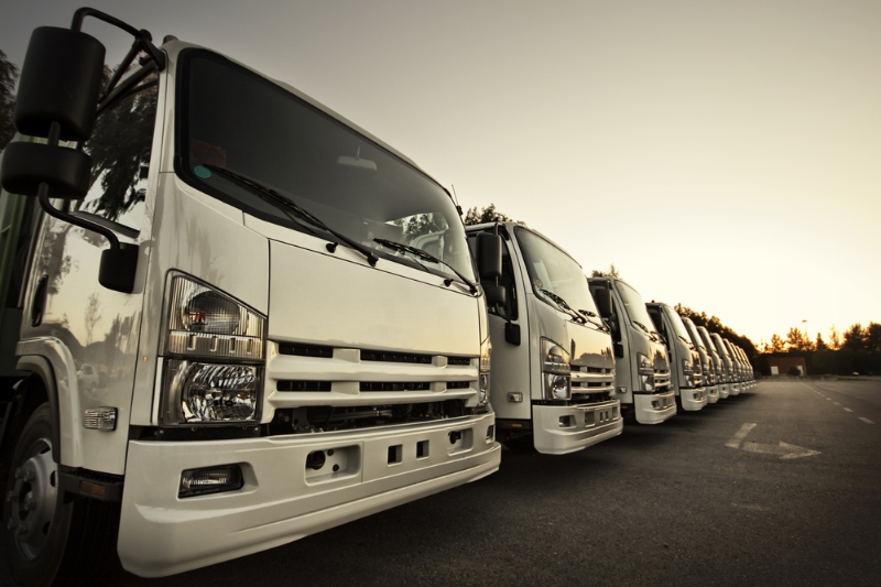 Council fleet replacement to exceed £2m image