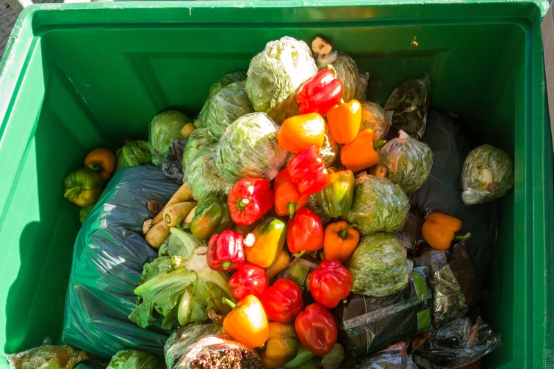 Portsmouth gives green light to citywide food waste recycling  image