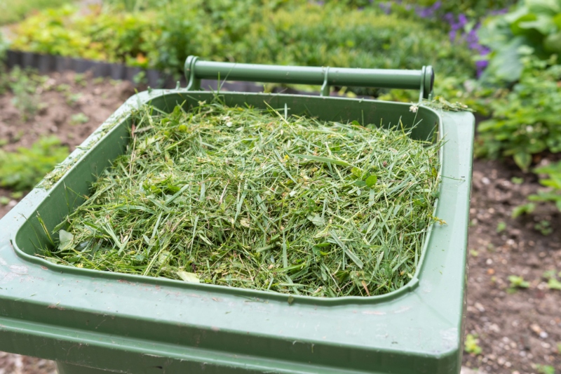 Scrapping green waste charges: the whole picture image
