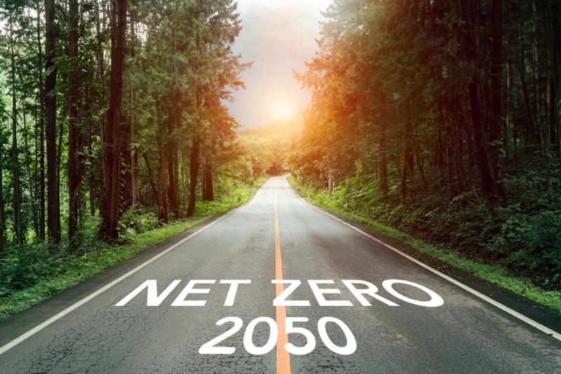 Transport managers unclear on net zero fleet strategy, survey finds image
