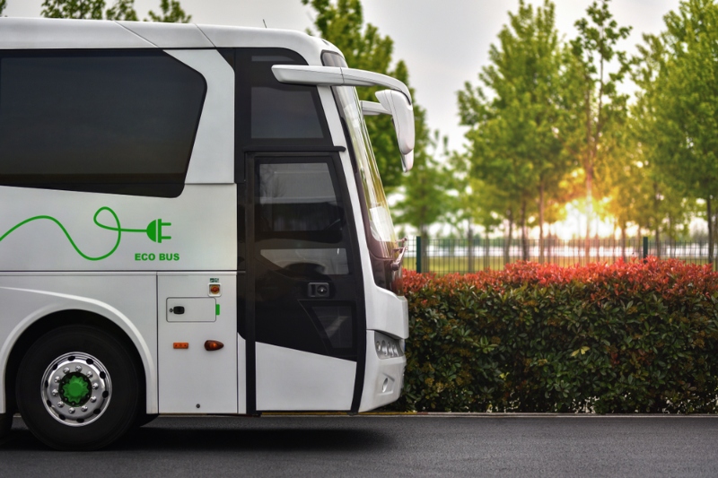 Council launches longest electric circular bus route  image