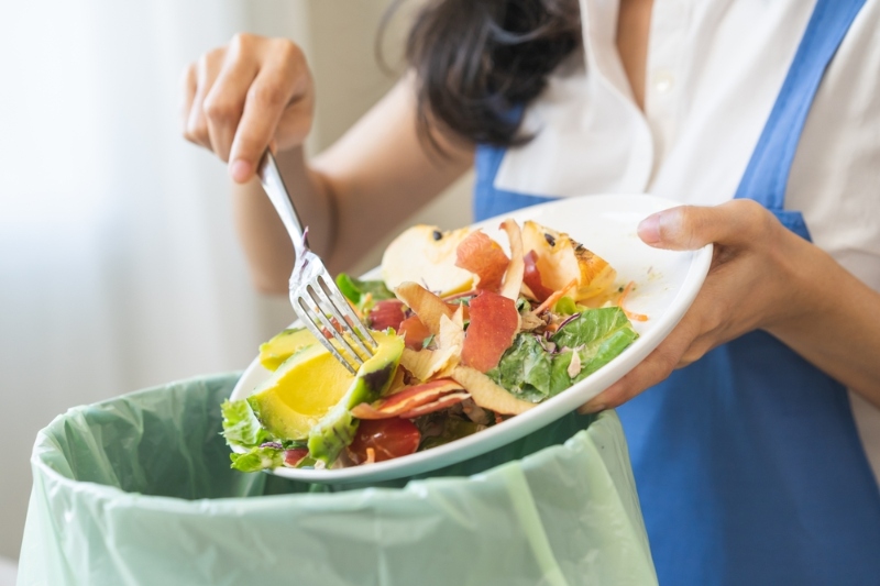 Sheffield food waste collections delayed by 15 years image