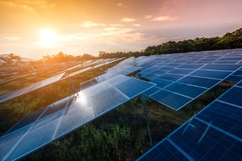 Exeter’s solar farm ready to power electric fleet image