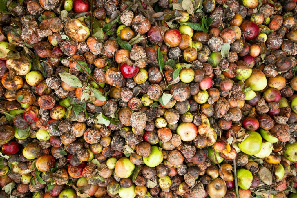 Council approves £748k contract for in-house food waste disposal