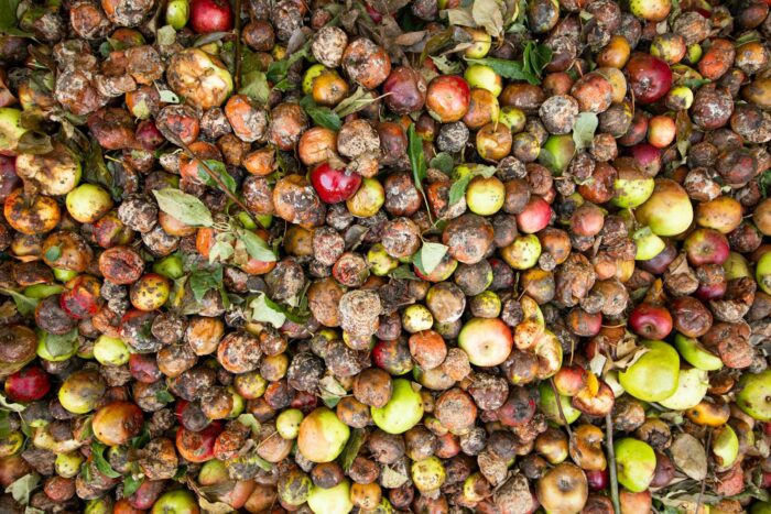 Council approves £748k contract for in-house food waste disposal